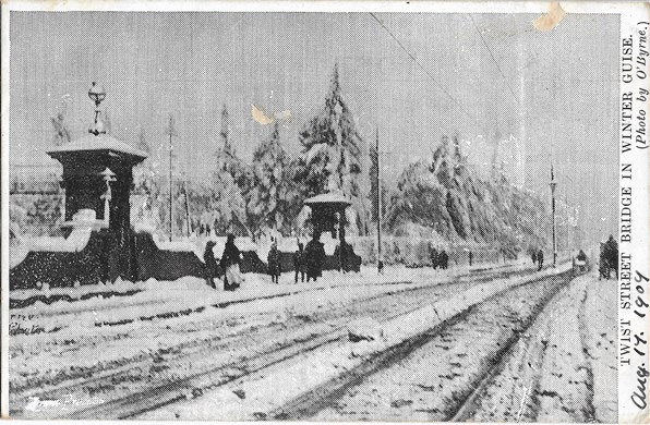 Postcard Johannesburg 1909 Joubert Park