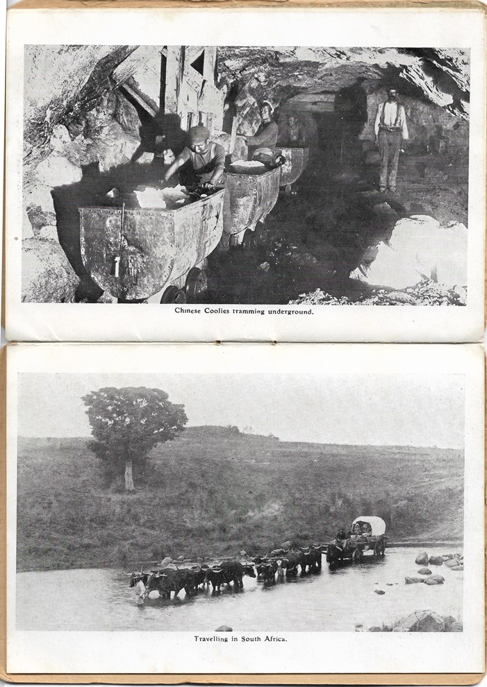 transvaal souvenir pages 10 and 11